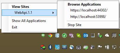 IIS Express context menu